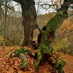 Lares - Rurales Gospodarstwo wiejskie