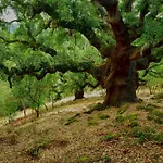Lares - Rurales Gospodarstwo wiejskie Las Médulas