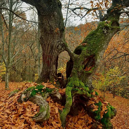 Lares - Rurales Летний дом