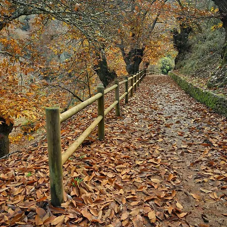 Lares - Rurales Летний дом *