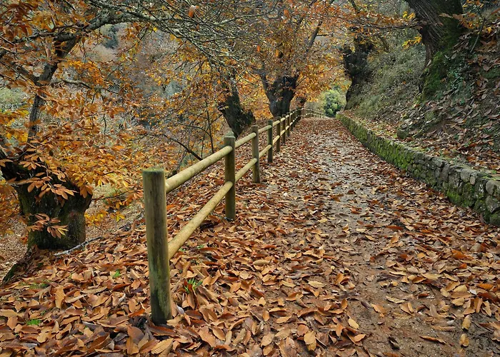 Lares - Rurales Landhaus *